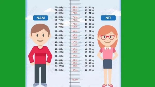 Chúng ta có thể dựa vào tỷ lệ đạt chuẩn trong bảng và so sáng với tỷ lệ cơ thể của chính bản thân mình để thấy được rõ hơn về chiều cao cân nặng chuẩn của mình đã đủ