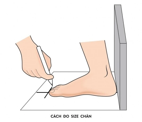 Bước 2: kẻ đường