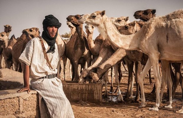 Những người du mục trên sa mạc chọn cho mình trang phục làm từ vải cây bông lanh vì độ bền và thoát nhiệt của nó