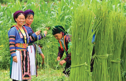 Ở Việt Nam, người ta thường nghĩ đến dân tộc H-Mông, họ là những bậc thầy trong sản xuất để may các sản phẩm thổ cẩm