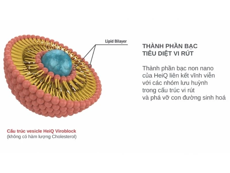 Cơ chế hoạt động của nano Bạc