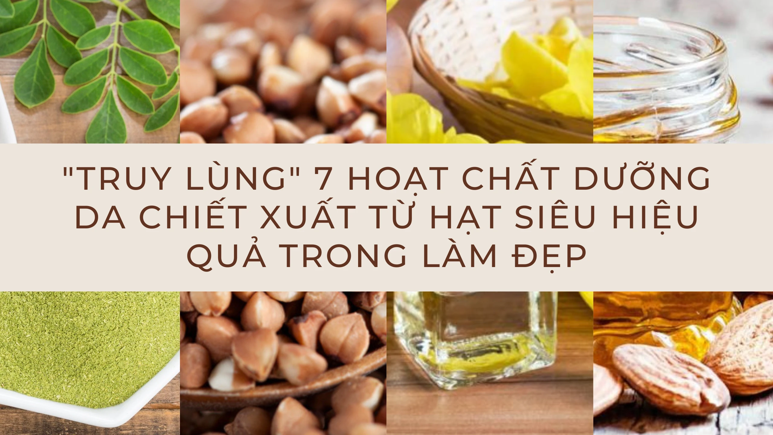 "Truy lùng" 7 hoạt chất dưỡng da chiết xuất từ hạt siêu hiệu quả trong làm đẹp