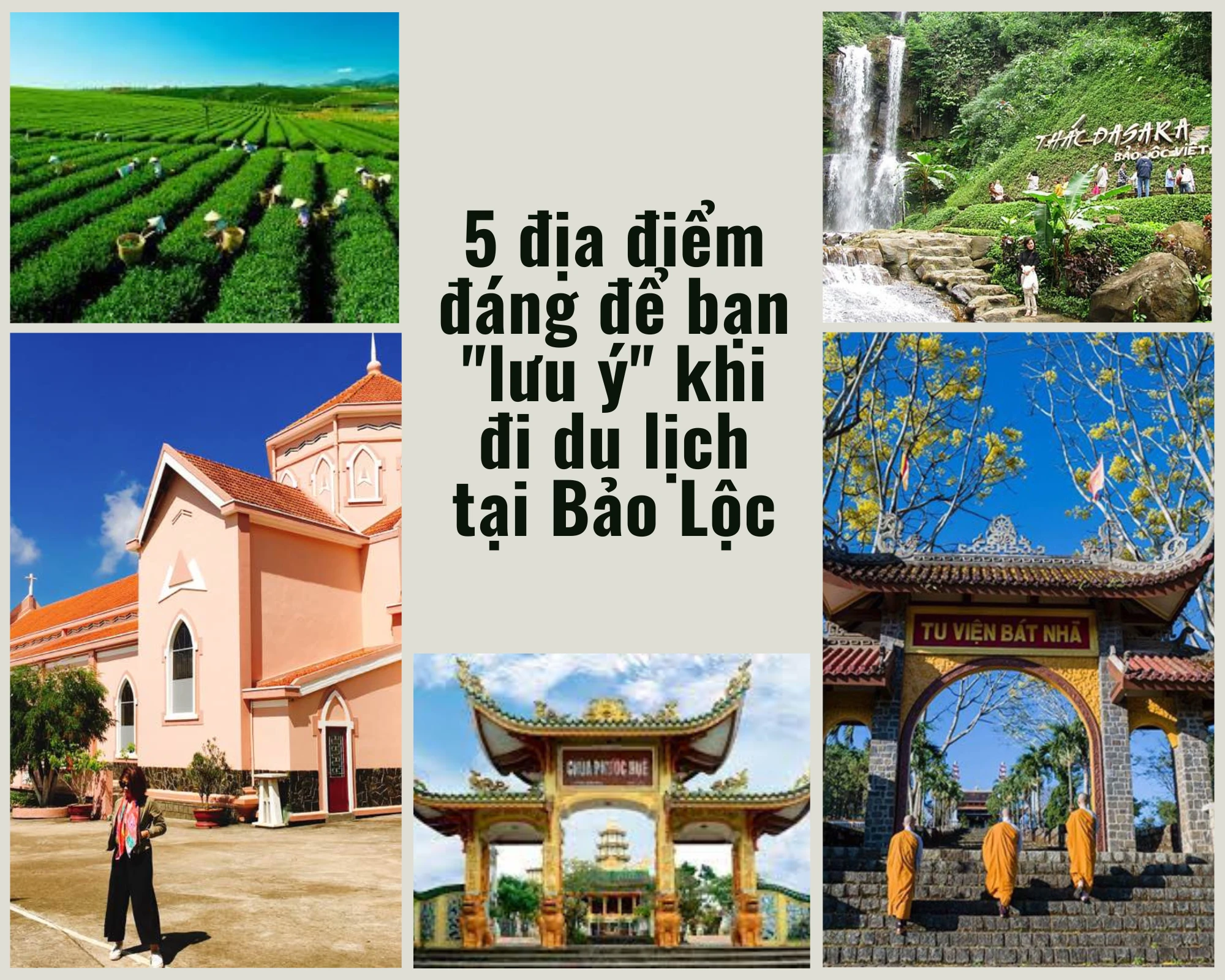 5 địa điểm đáng để bạn lưu ý khi đi du lịch tại Bảo Lộc