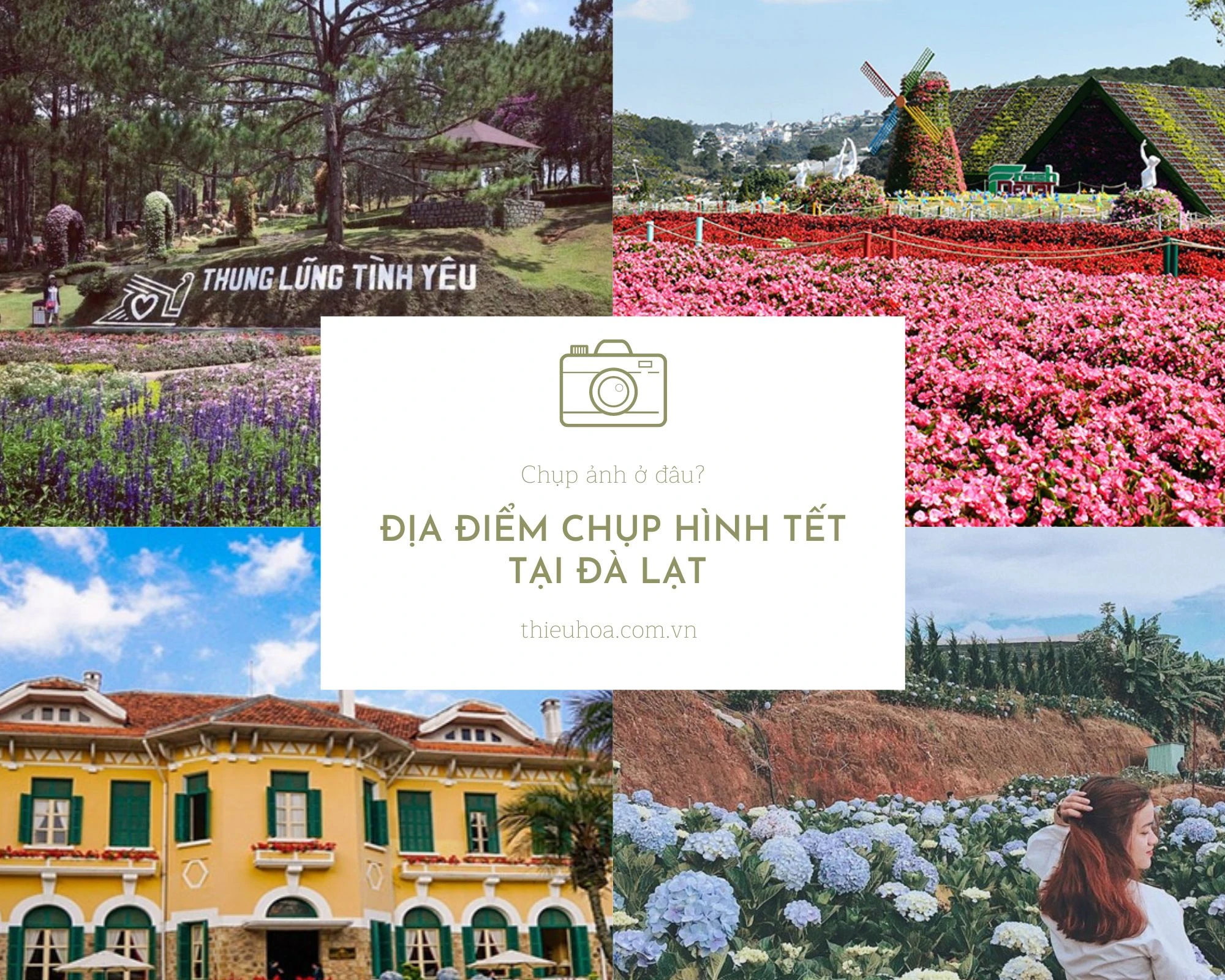 Gợi ý 5 địa điểm "check-in" chụp hình Tết tại Đà Lạt?