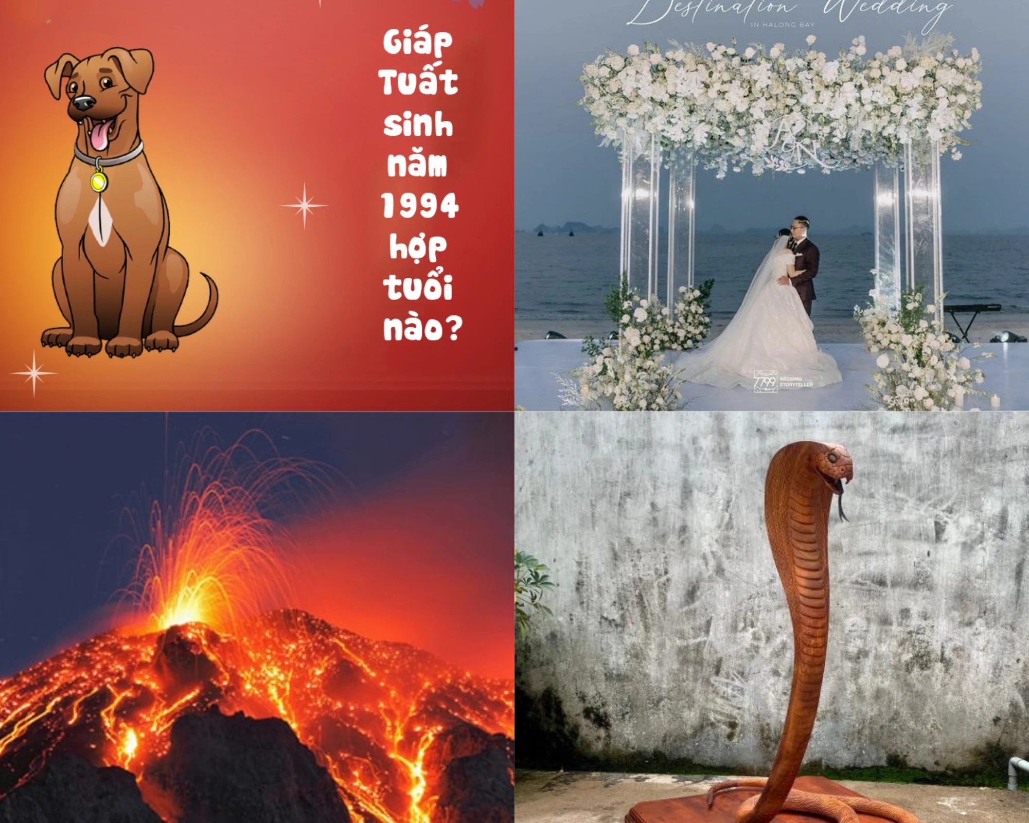 Tuổi Giáp Tuất sinh năm 1994 là mệnh gì? Hợp tuổi gì? Màu nào?