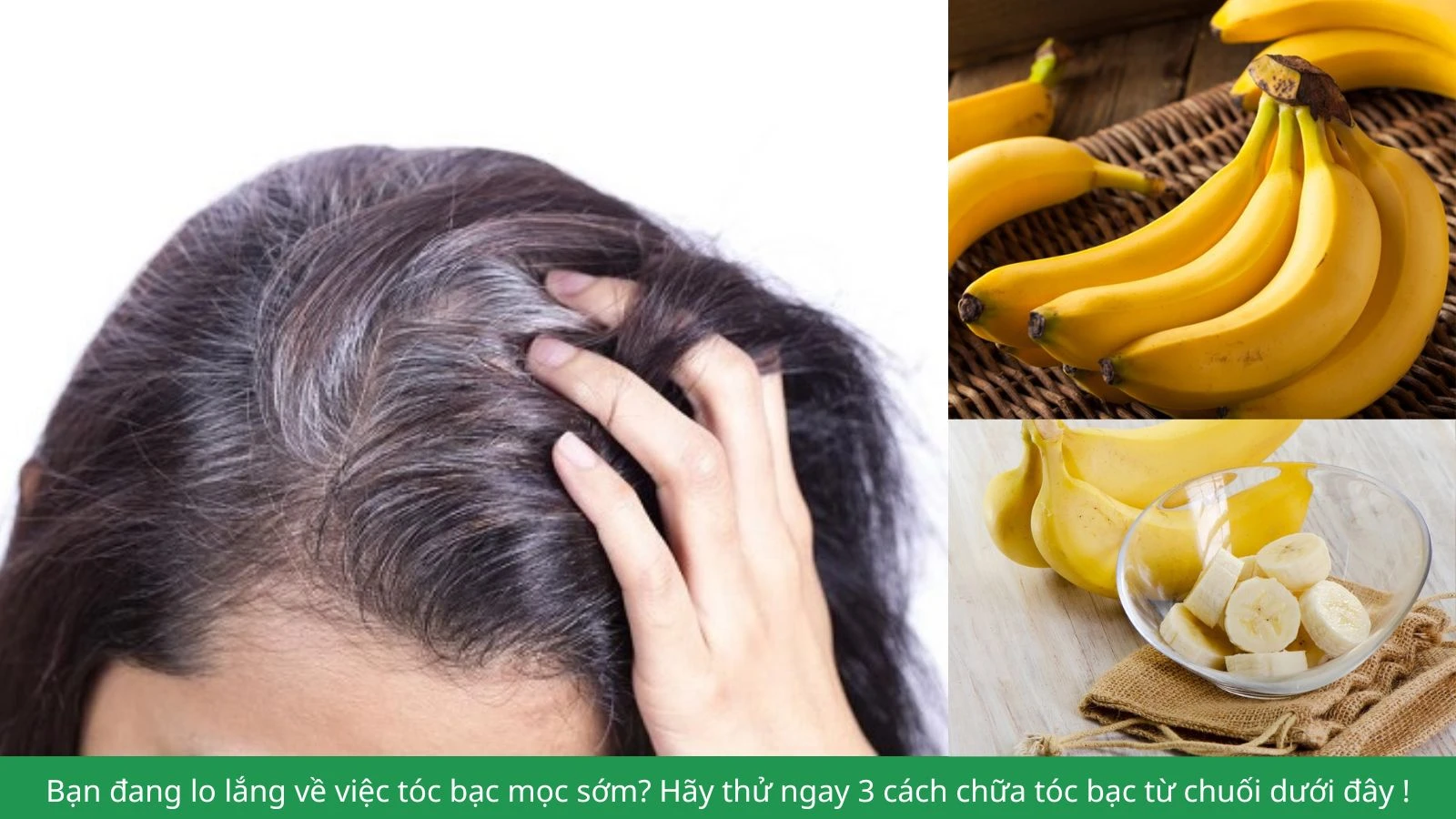 Bạn đang lo lắng về việc tóc bạc mọc sớm? Hãy thử ngay 3 cách chữa tóc bạc từ chuối dưới đây !