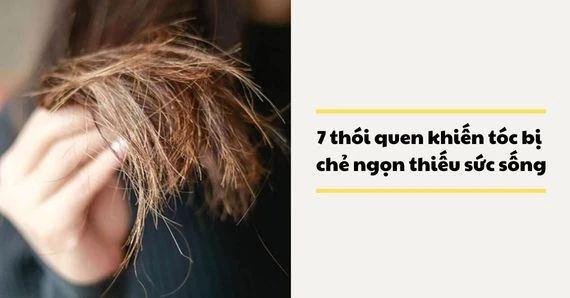 7 thói quen khiến tóc bị chẻ ngọn, thiếu sức sống và cách khắc phục
