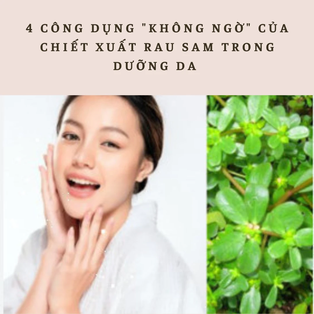 4 công dụng "không ngờ" của chiết xuất rau sam trong dưỡng da