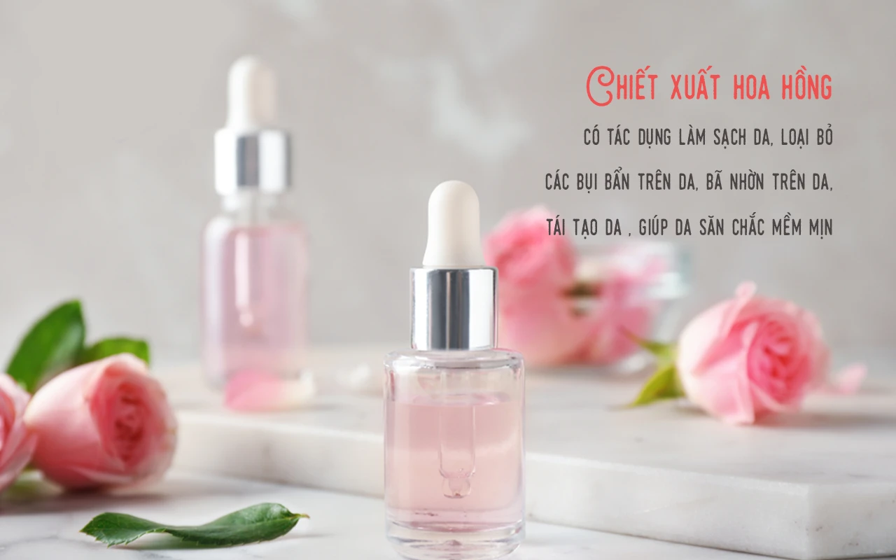 Chiết xuất hoa hồng đá là chất gì? Lợi ích của nó trong làm đẹp?