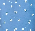 XANH