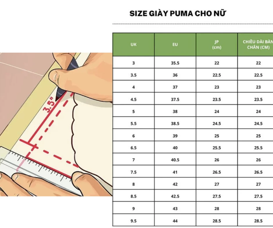 Size giày hotsell puma us nữ