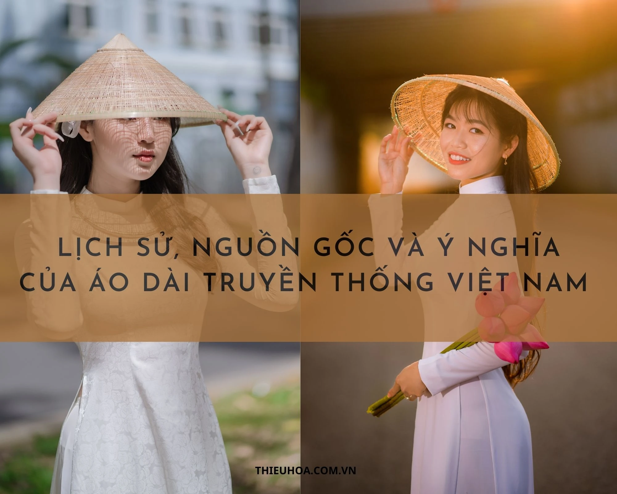 Lịch sử, nguồn gốc, ý nghĩa của áo dài truyền thống Việt Nam
