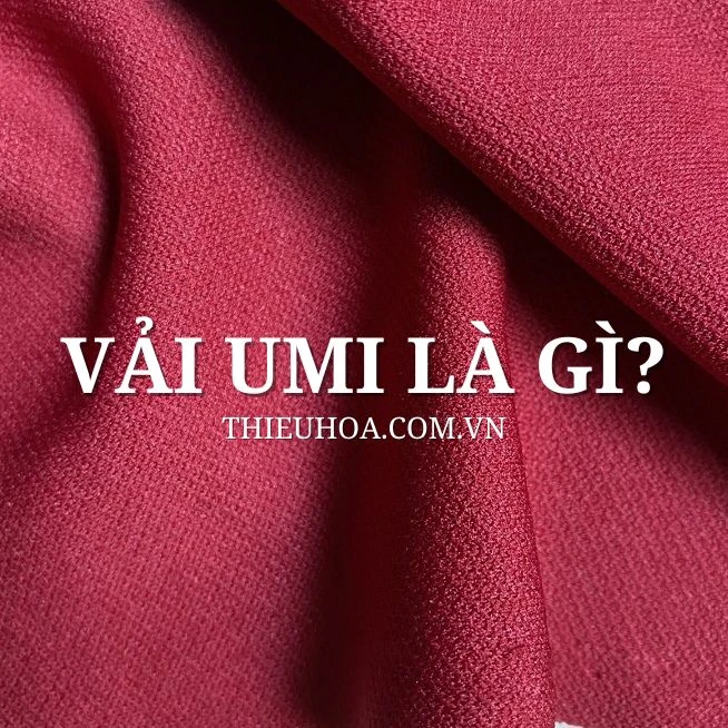 Vải Umi là gì? Đặc điểm của vải Umi. Vải Umi dễ bị nổi nấm mốc là do đâu?
