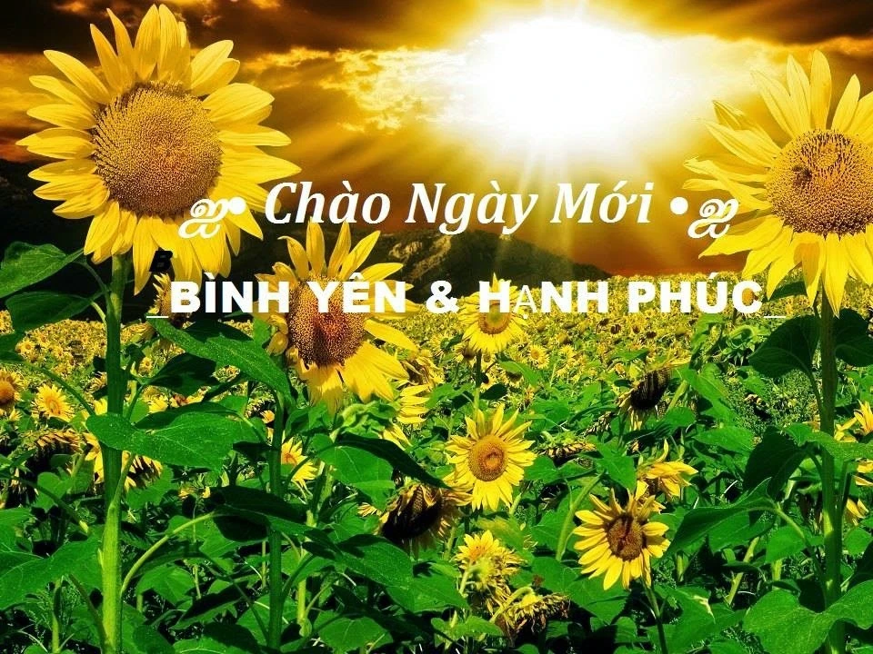 Lời chúc chào ngày mới