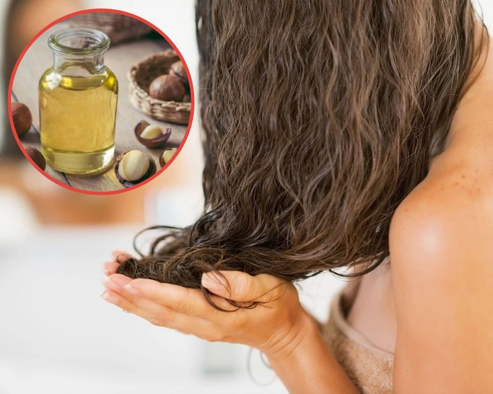Sử dụng dầu macca làm dầu dưỡng tóc