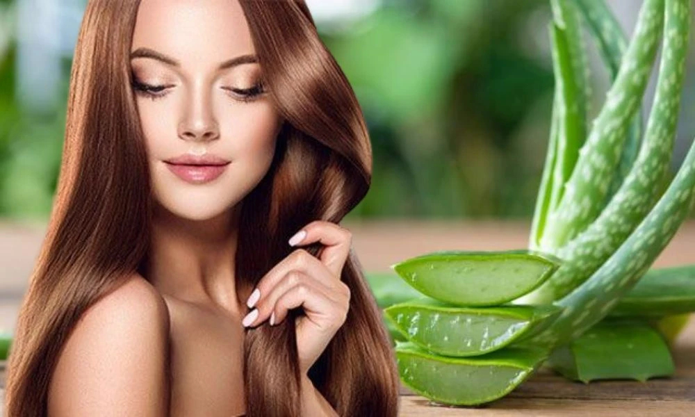 Sở hữu mái tóc "siêu mượt", chỉ cần học 10 công thức ủ tóc bằng nha đam  tươi từ thiên nhiên tại đây