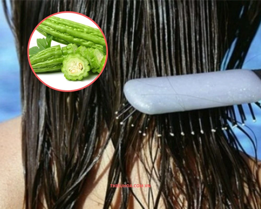 Ủ tóc bằng khổ qua có tốt không? 3 Cách ủ tóc bằng khổ qua hiệu quả