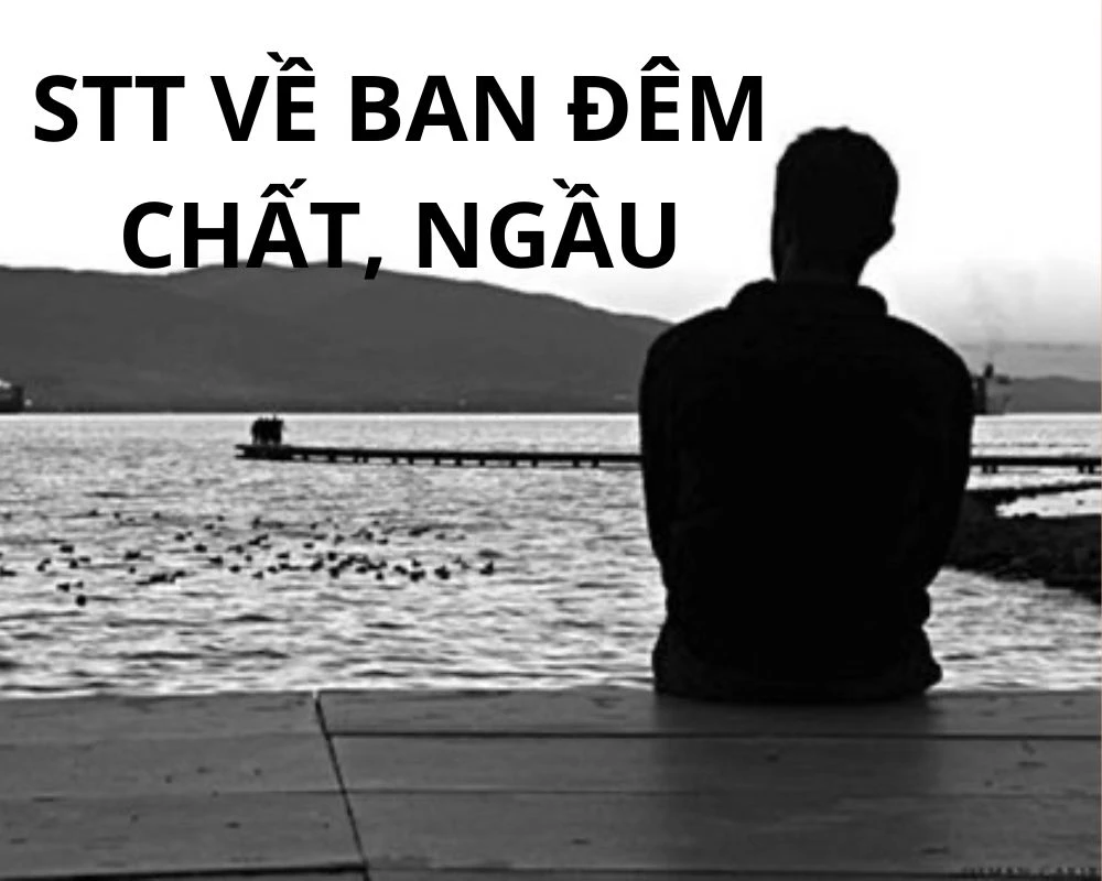 Stt về ban đêm chất, ngầu