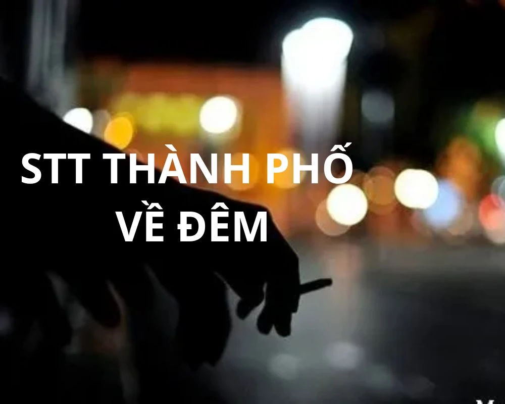 Stt thành phố về đêm