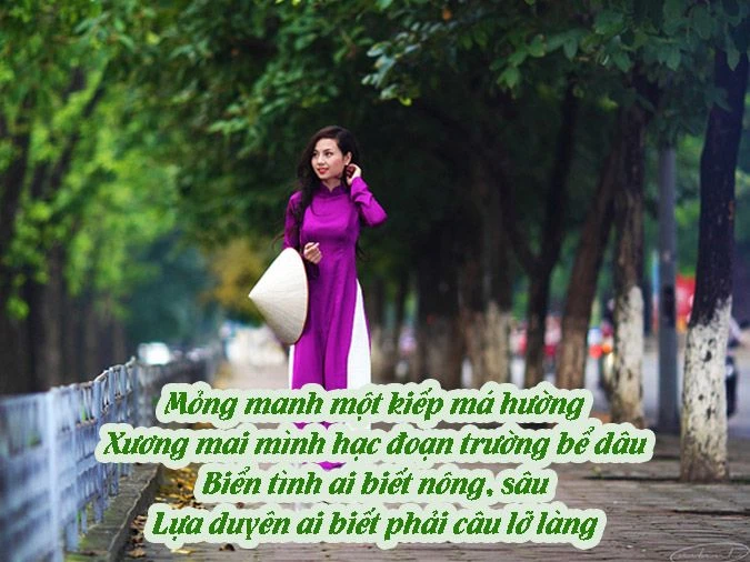 Chùm thơ hay về phụ nữ Việt Nam giỏi giang, duyên dáng