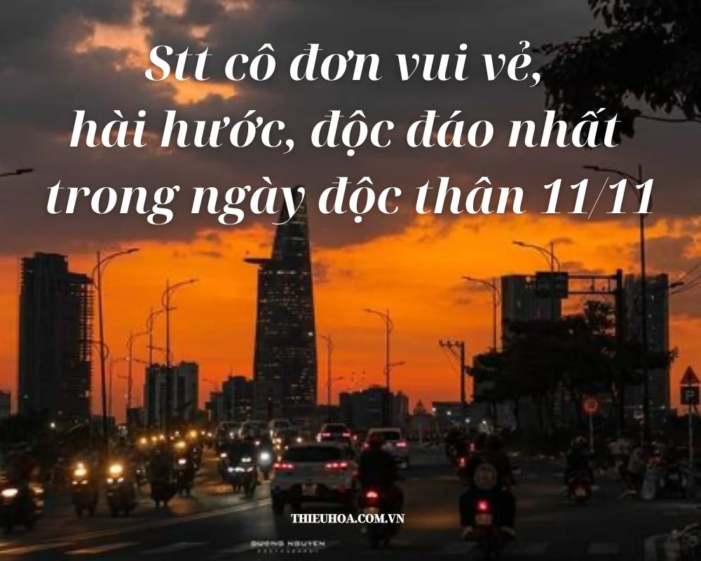 Những Stt cô đơn vui vẻ nhất trong ngày độc thân 11/11