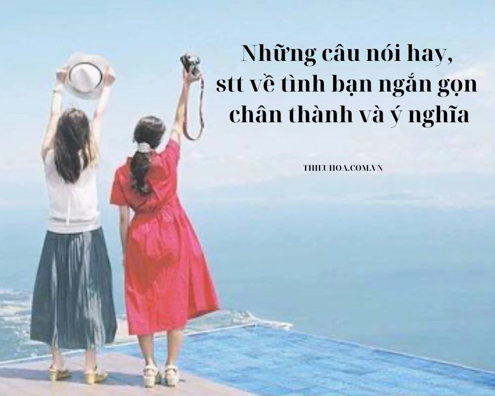 Những câu nói hay, stt về tình bạn ngắn gọn chân thành nhất