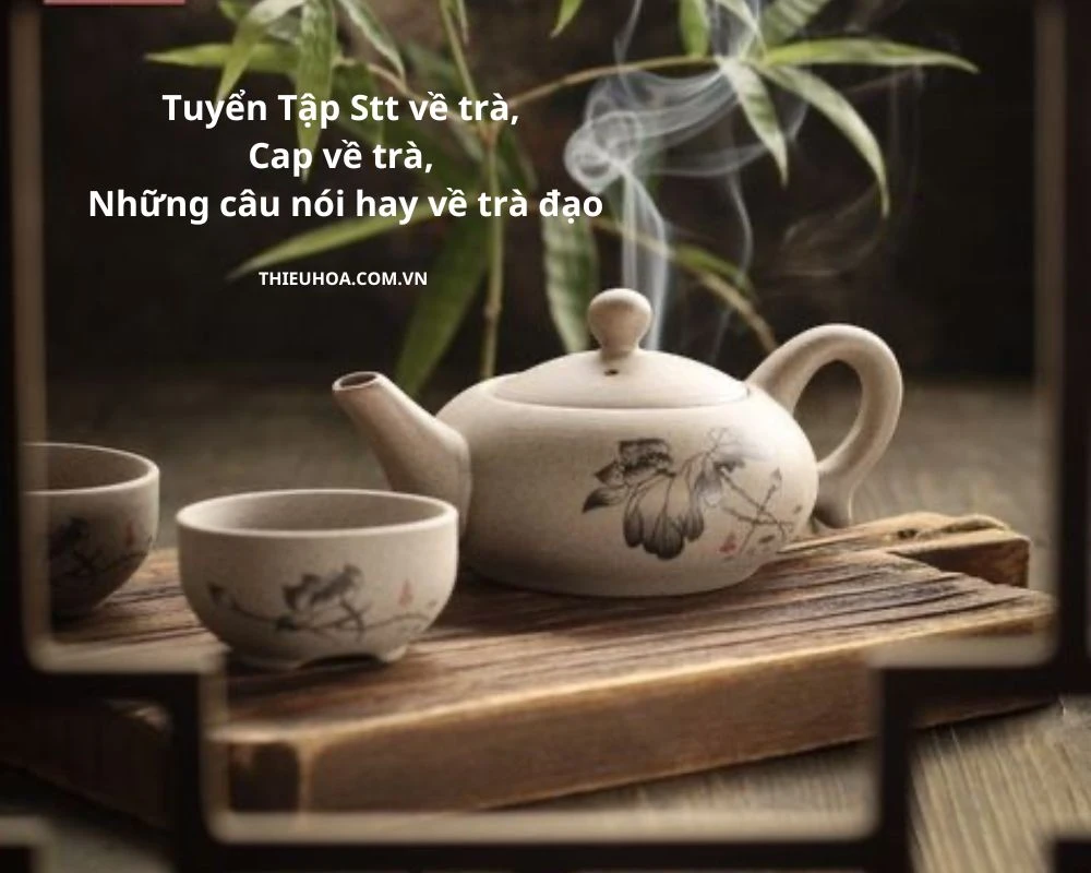 Tuyển Tập Stt, Cap, Những câu nói hay nhất về trà đạo
