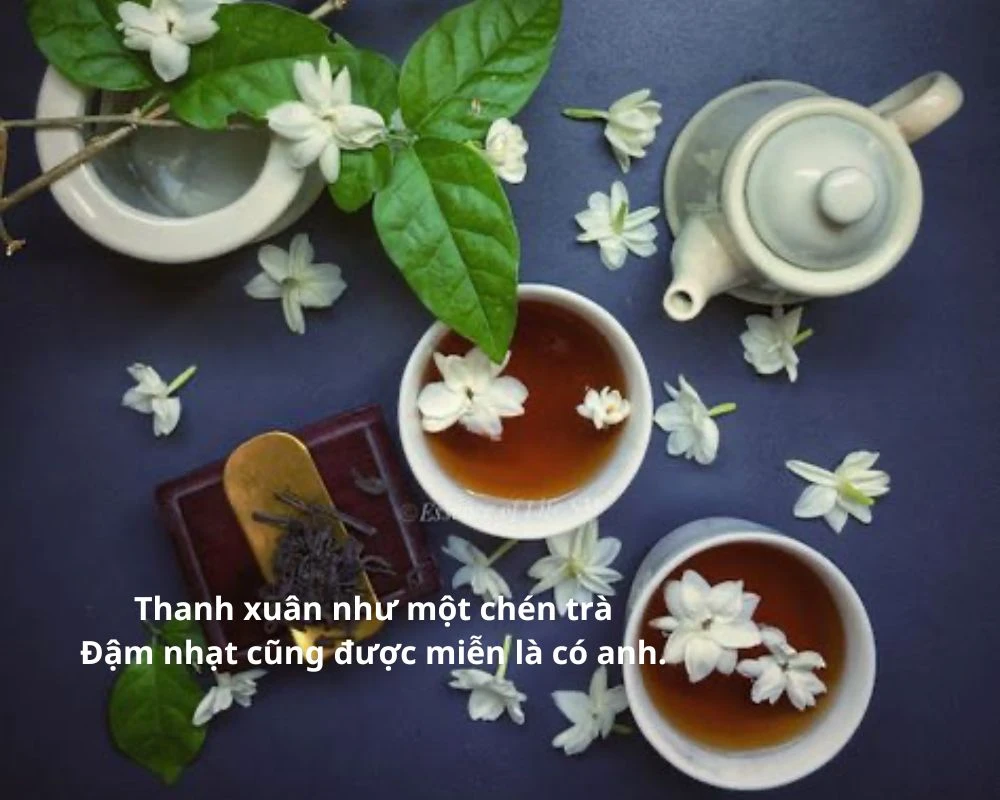 Stt về trà thả thính