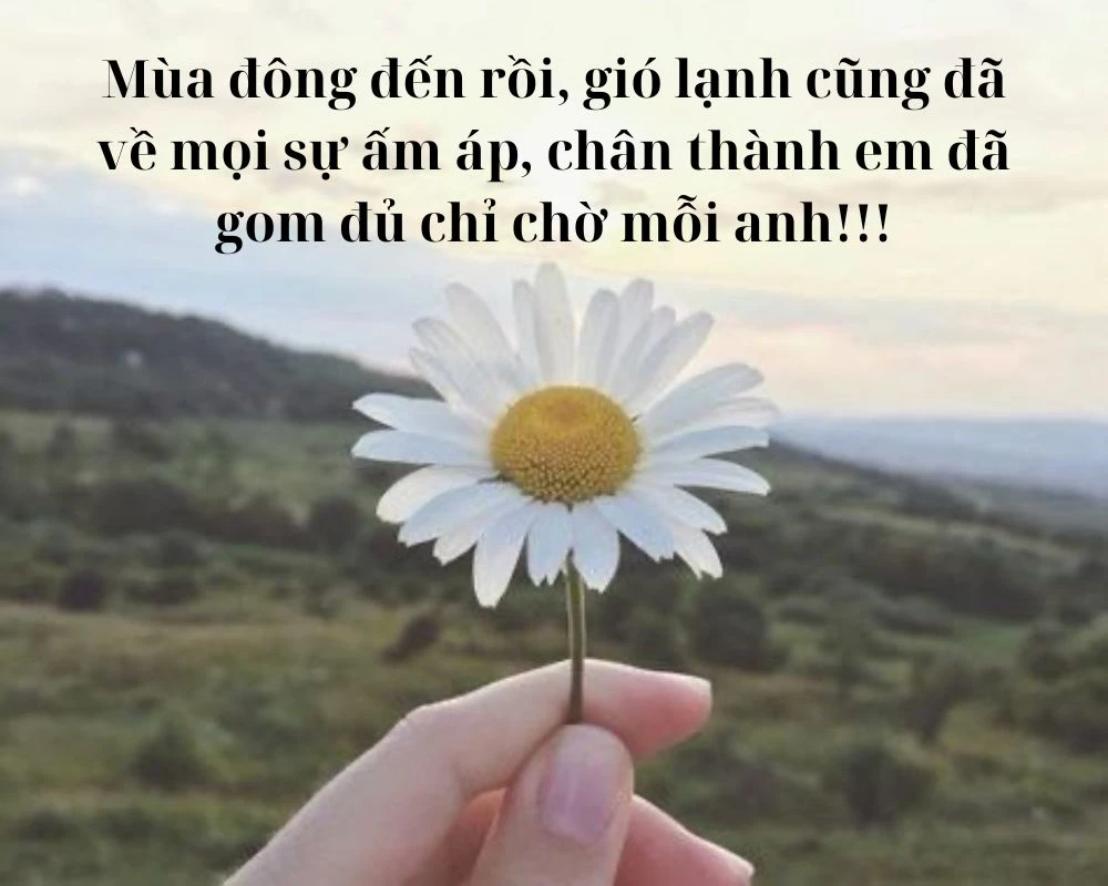 Cap, Stt gió lạnh thả thính cực ngọt