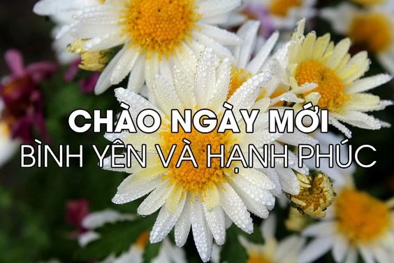 Lời chúc, Stt chào ngày mới ngắn 