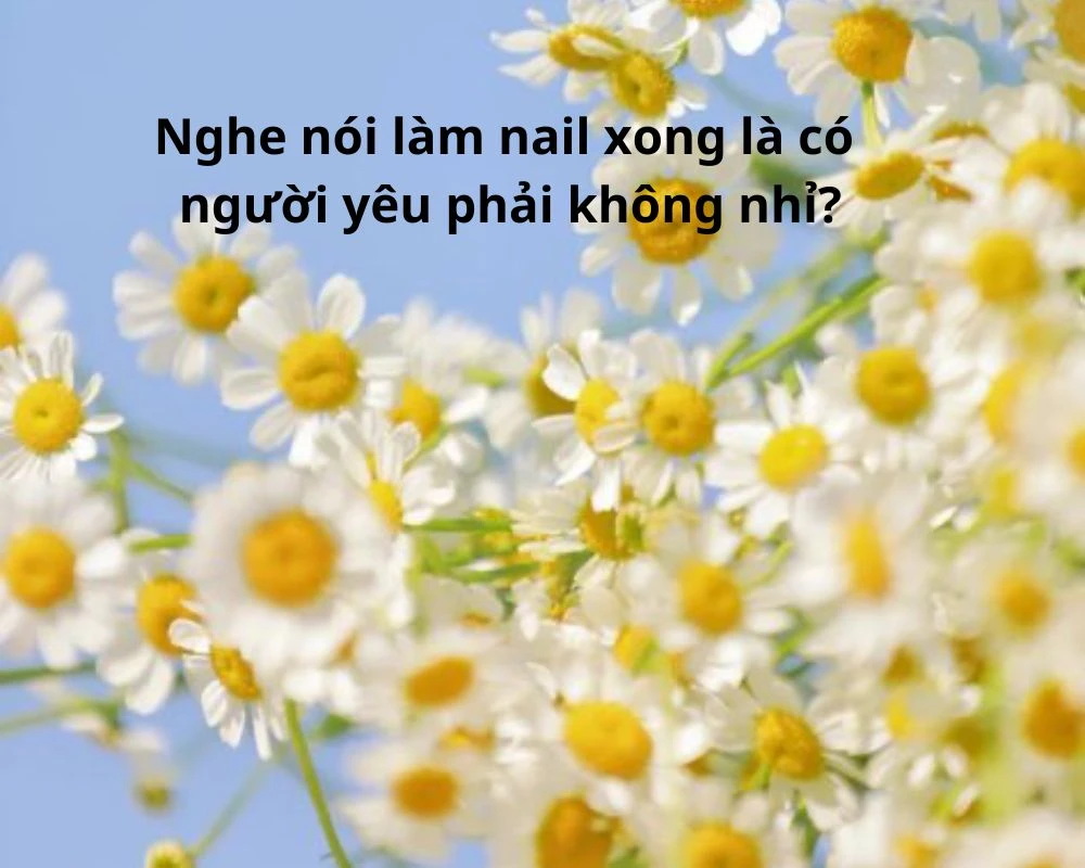 Những câu nói, slogan về làm đẹp ấn tượng trong ngành spa, thẩm mỹ, nail, làm tóc