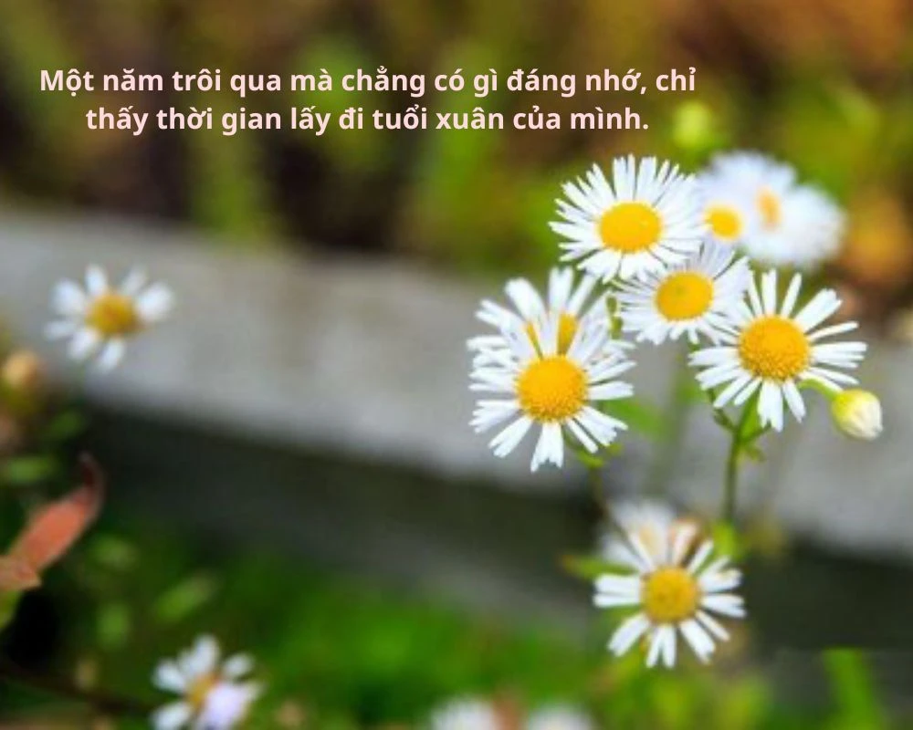 Stt tạm biệt năm cũ hay và ý nghĩa nhất