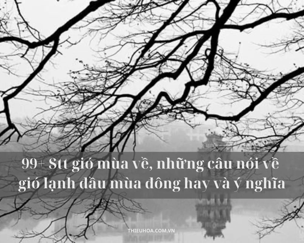 99+ Stt gió mùa về, những câu nói về gió lạnh đầu mùa đông