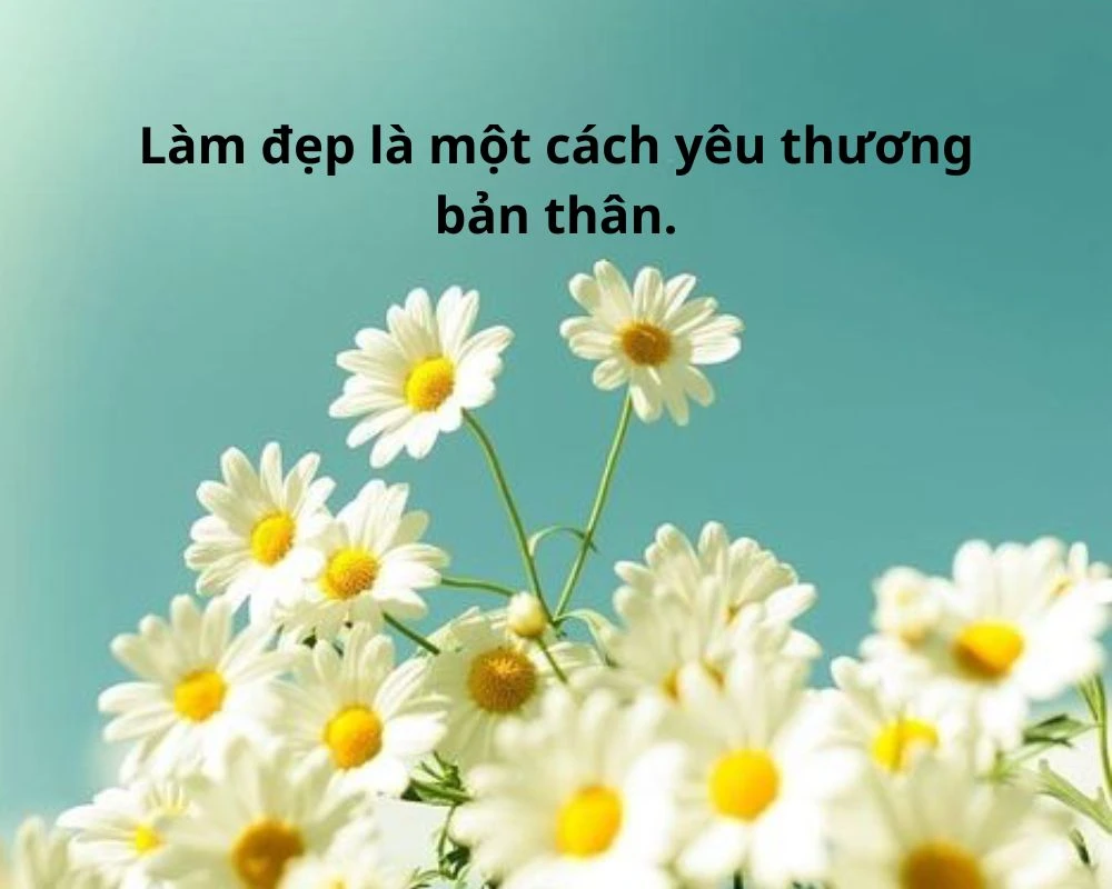 Stt làm đẹp hài hước 