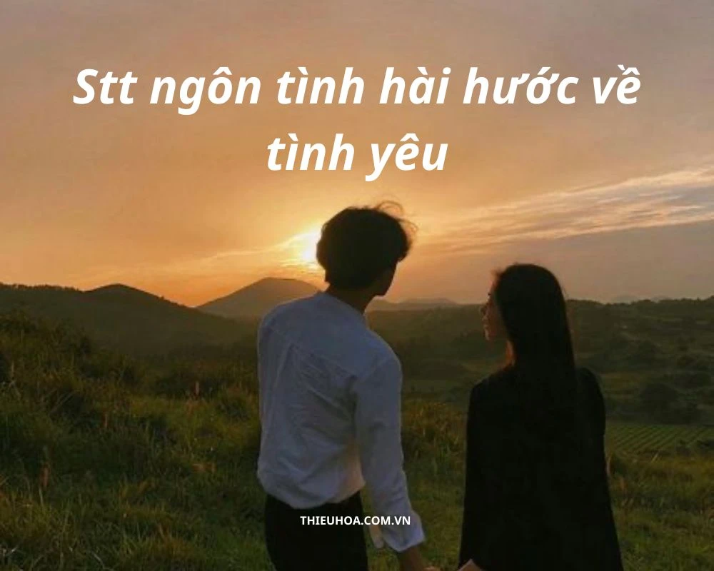 Những câu nói, Stt ngôn tình hài hước về tình yêu hay nhất