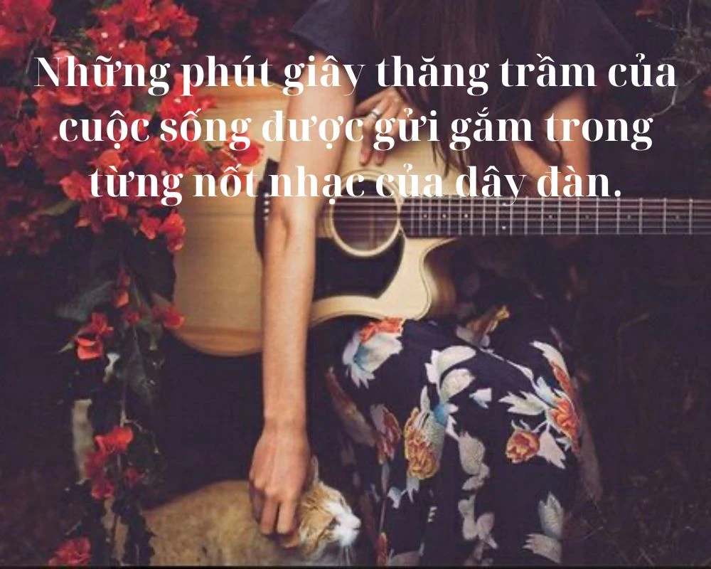 Cap hay về đàn Guitar và âm nhạc