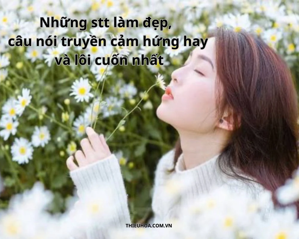 Những stt làm đẹp, câu nói truyền cảm hứng lôi cuốn nhất