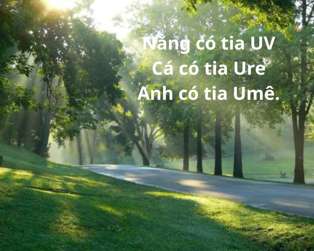 Stt về nắng up ảnh câu Like