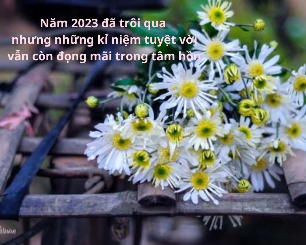 Caption, STT hay cho ngày cuối năm 2023