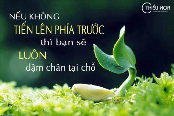 TOP 9999+ stt mạnh mẽ vươn lên trong cuộc sống ý nghĩa