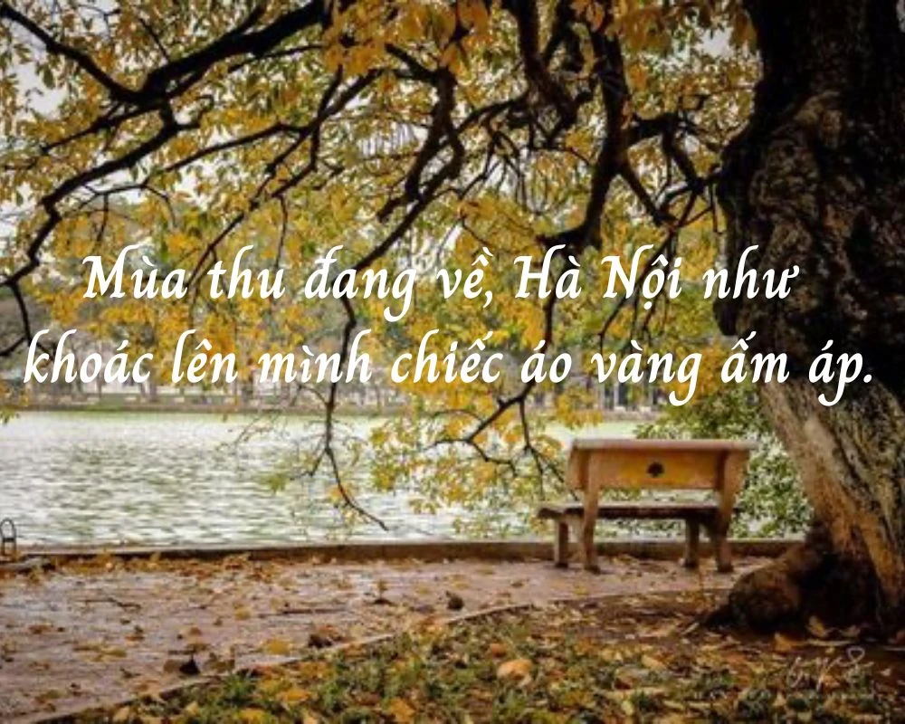 Những câu nói, Stt mùa thu Hà Nội hay, lãng mạn