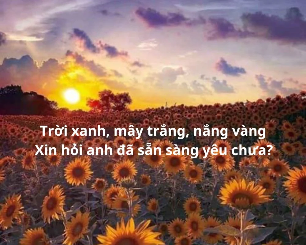 Stt, cap về nắng, dễ thương 