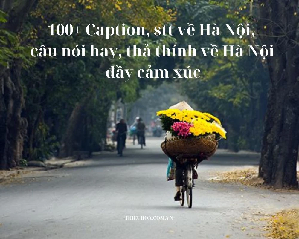 100+ Caption, stt, câu nói hay, thả thính về Hà Nội hay nhất