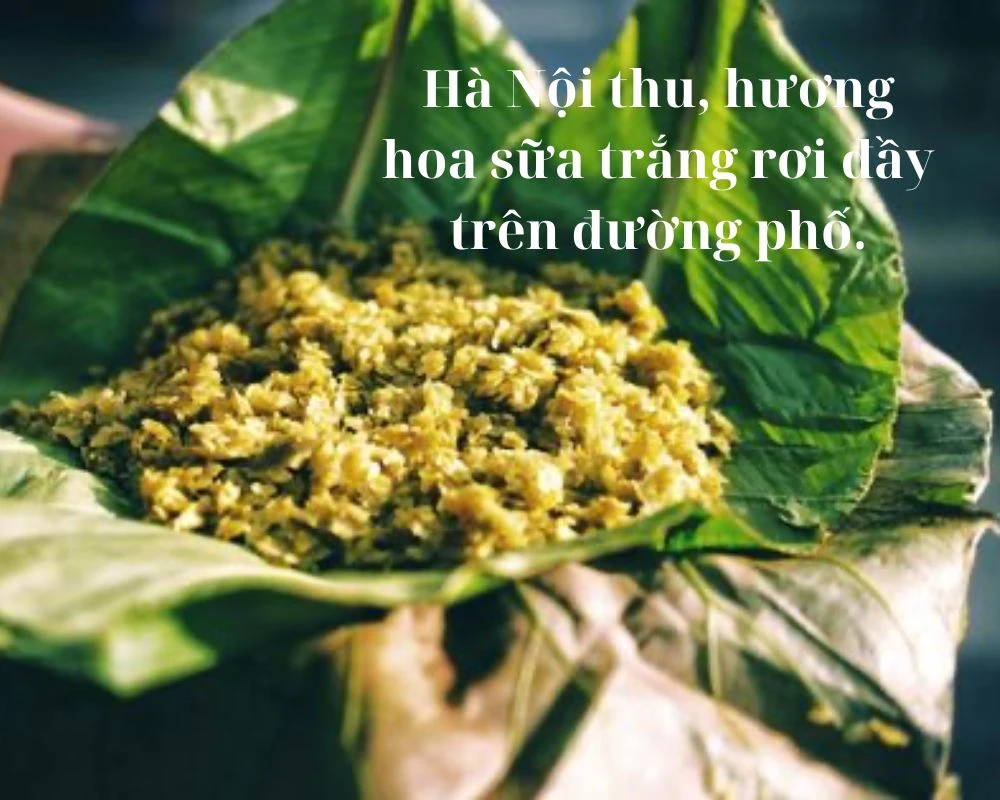 Những câu nói, Cap hay về Hà Nội mùa thu