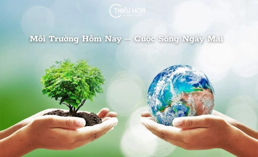 200+ Slogan, những câu nói bảo vệ môi trường ý nghĩa