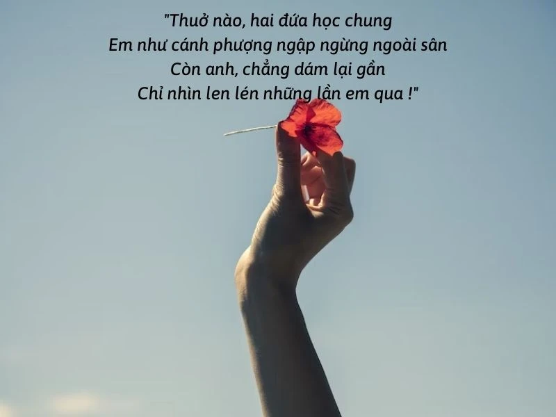 CHÙM thơ tình học trò, thơ về mối tình đầu hay nhất