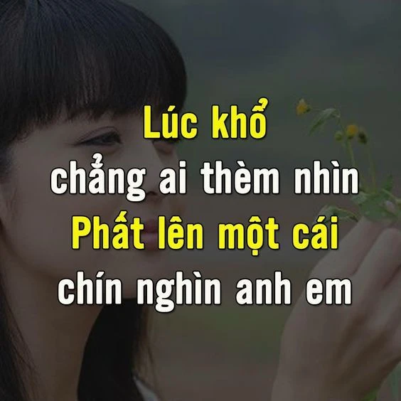 Những câu nói hay, Stt đậm chất đời xã hội anh em