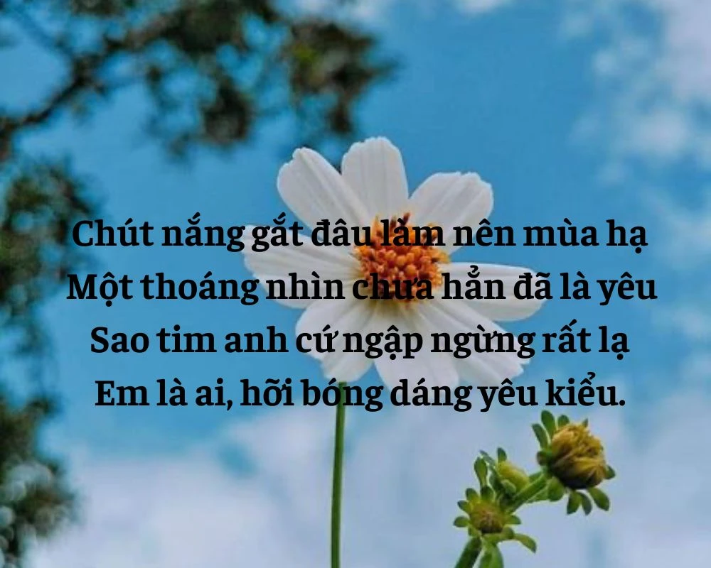 Caption đăng ảnh nàng thơ thu hút triệu lượt Like