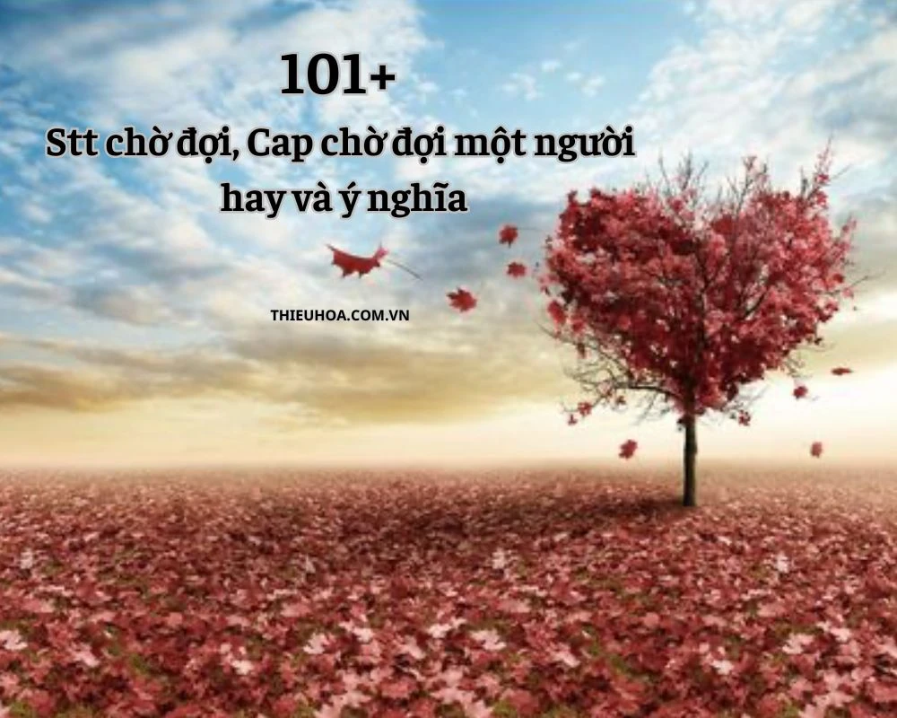 101+ Stt chờ đợi, Cap chờ đợi một người hay và ý nghĩa