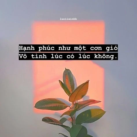 Stt hạnh phúc đơn giản, hài hước